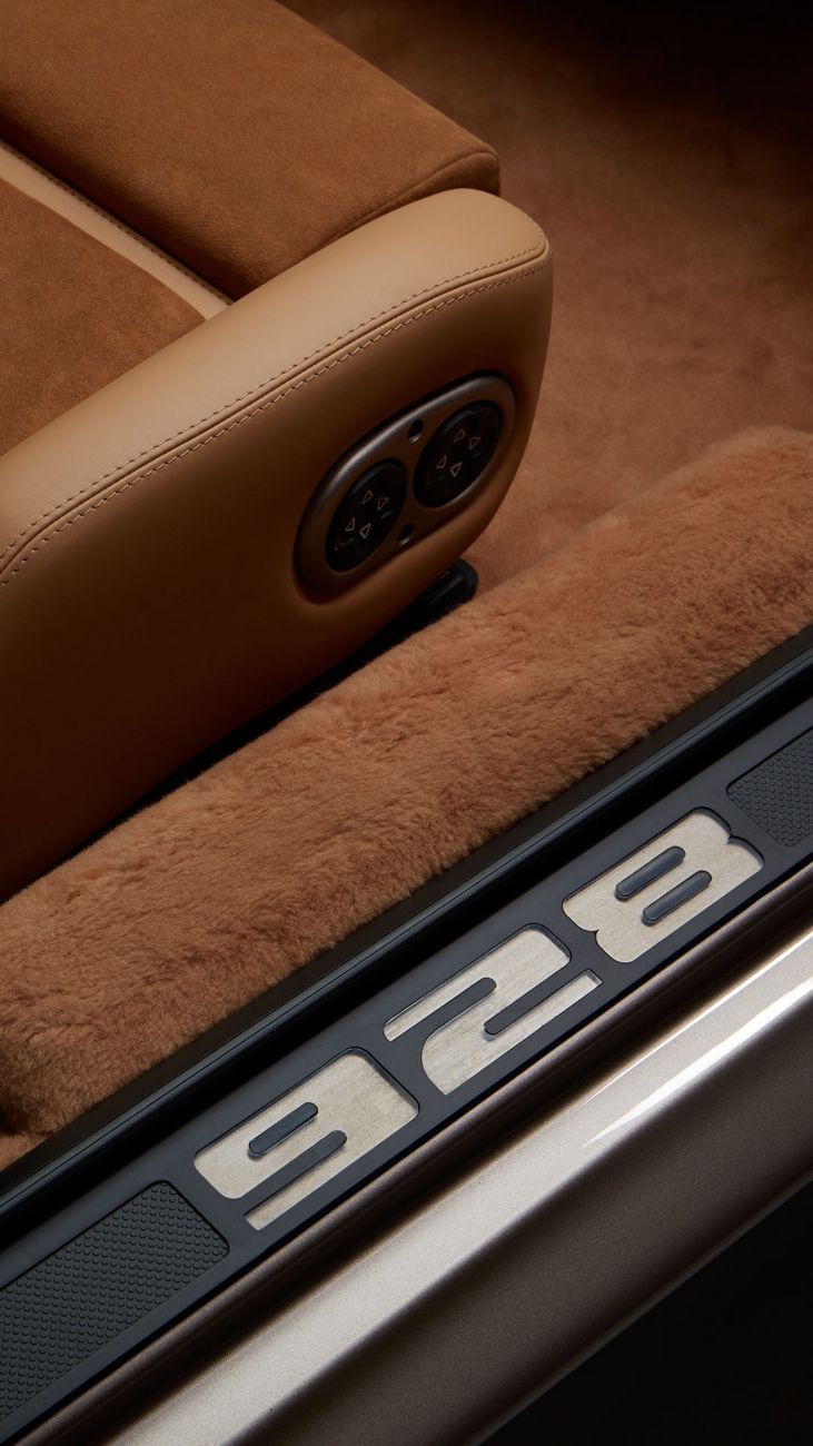 Alcantara material detail